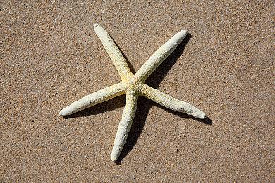 《杀手7》更新上线三折优惠 改善画面性能